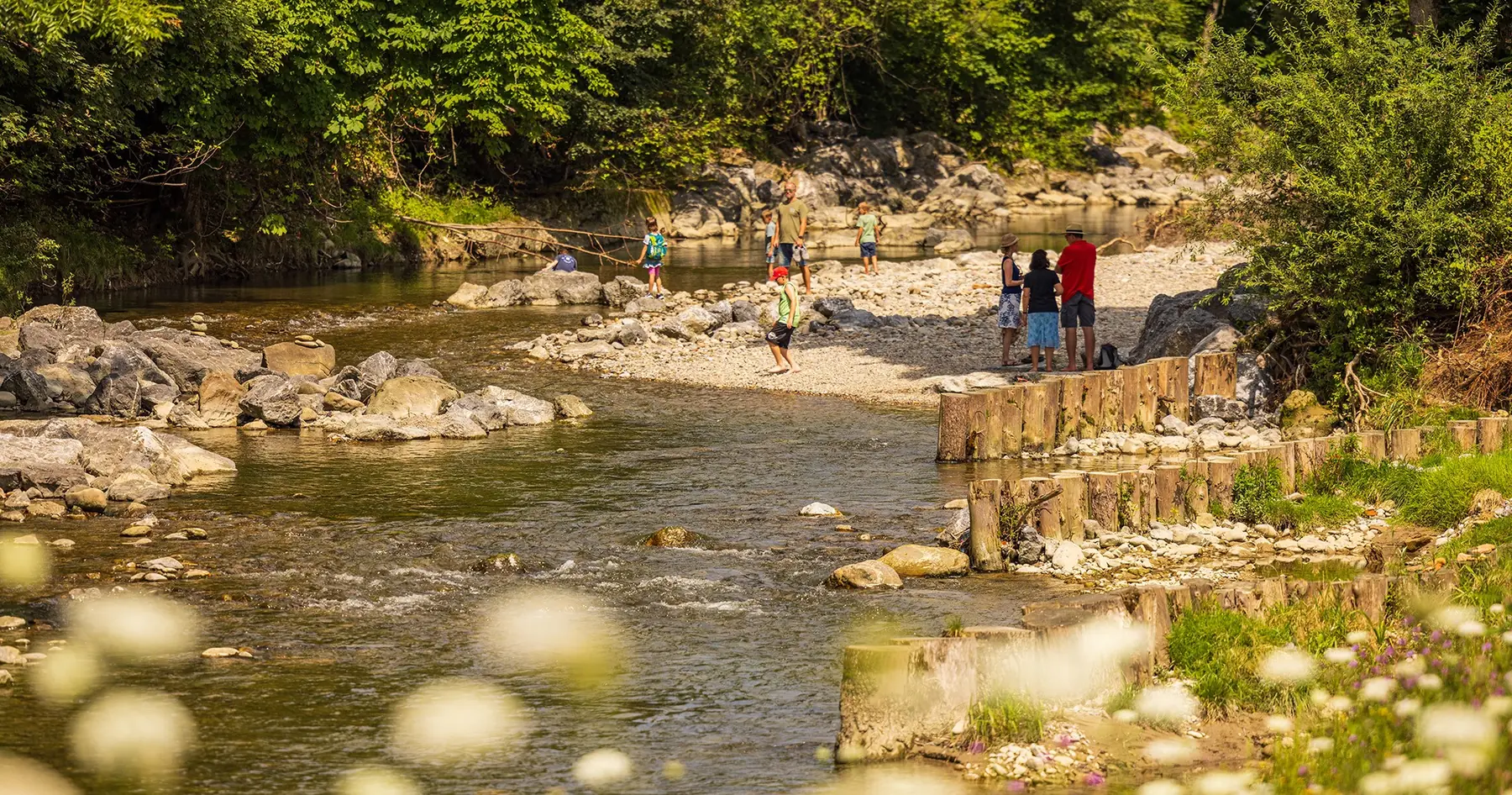 Die Argen mit naturnah gestaltetem Ufer, Steinen im Wasser und begrünten Böschungen